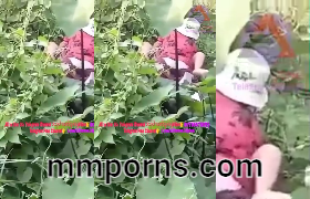 အပင်တွေကြားမှာ ဆွဲနေတဲ့ ချောင်းရိုက် — XBurma Myanmar video preview