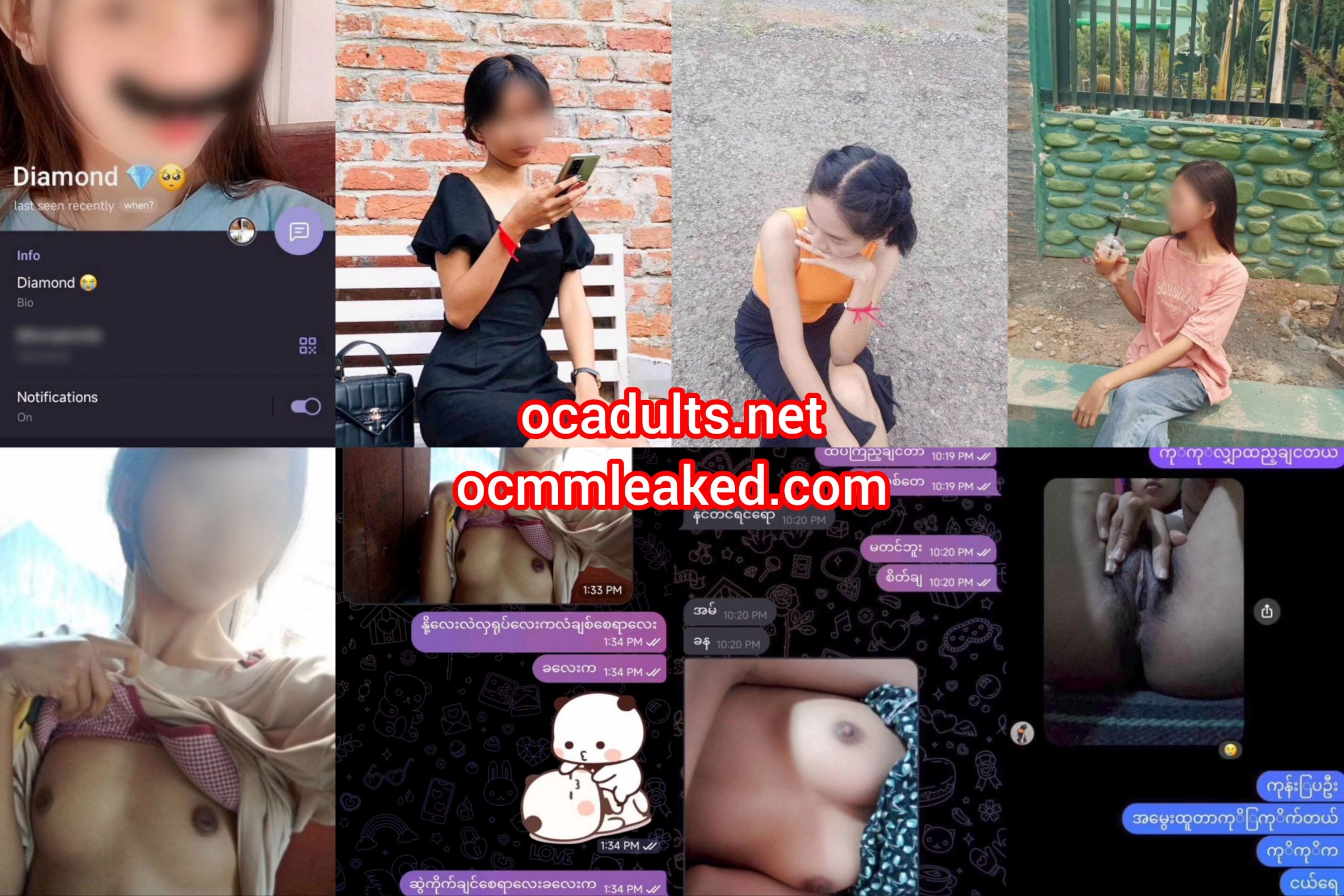 ဘဲကိုရှယ်ပြတဲ့ဆော်လေး — XBurma Myanmar video preview