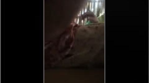 ၂သောင်းတောင်းပြီးအဖုတ်ခံတဲ့မမ — XBurma Myanmar video preview