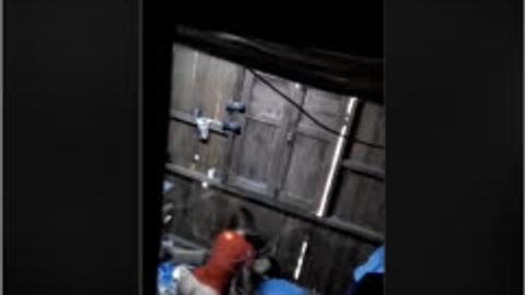 ဒီကားလေးကကြာခဲ့ပါပြီ — LeakMM Myanmar video preview