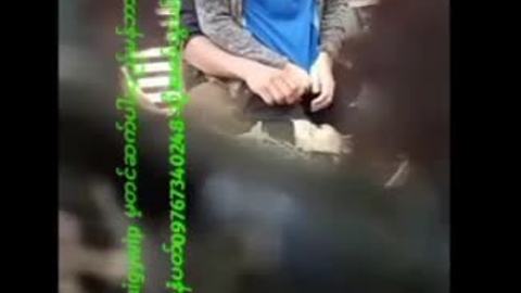 ချောင်းရိုက်လေး — LeakMM Myanmar video preview