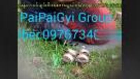 ခိုးစားချောင်းရိုက် — LeakMM Myanmar video preview