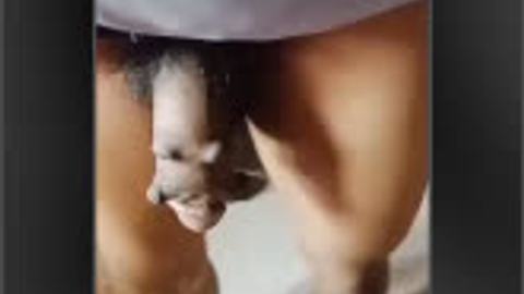 ဘွားတော်ကြီးကိုအသေဖုတ် — XBurma Myanmar video preview