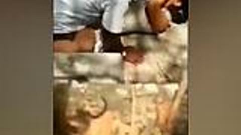မြန်မာခိုးစားချောင်းရိုက်လေး — LeakMM Myanmar video preview