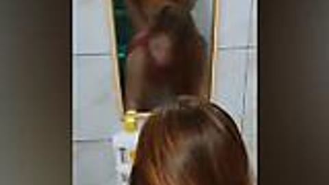အိမ်သာထဲမှာလိုးတဲ့အတွဲ — XBurma Myanmar video preview