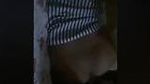 မြန်မာဘေးစောင်းလေးဖုတ် — XBurma Myanmar video preview