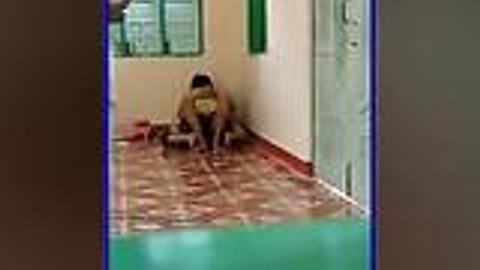 ဘုန်းကြီးကျောင်းပေါ်မှာလိုးနေတာလားဟ — LeakMM Myanmar video preview