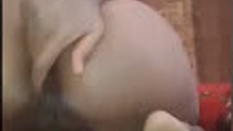 တောသူလေးရဲ့အထန်စကေး video preview