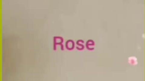 Rose ကိုဟော်တည်မှာဖင်ထောင်လိုး — XBurma Myanmar video preview