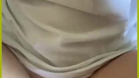 အန်ကြိတ်ပြီးခံတဲ့ ပိပိအလန်းလေး — XBurma Myanmar video preview