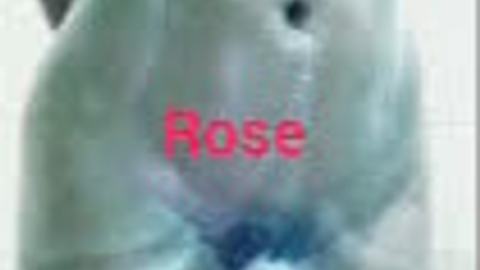 Rose ရေချိုးပြီးထန်တာလေး — XBurma Myanmar video preview