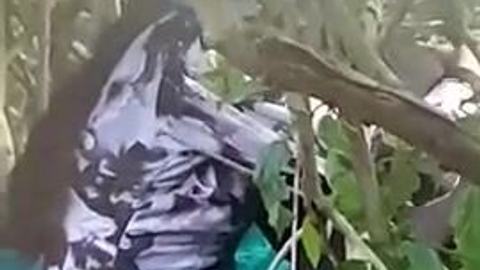 နို့တိုက်တဲ့ ညီမလေး — LeakMM Myanmar video preview
