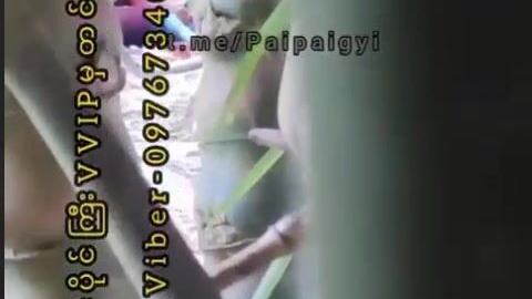 ဝါးရုံတောထဲမှာခိုးစားချောင်းရိုက် video preview