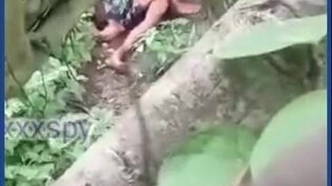 သစ်ပင်ပိပြီးသေနေအုံးမယ် video preview