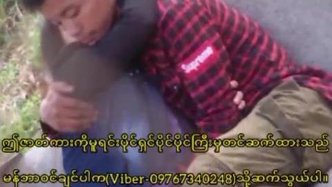 ပန်းခြံထဲသွားပြီး ကပ်တိုးလေးနှိုက်နေတာ video preview