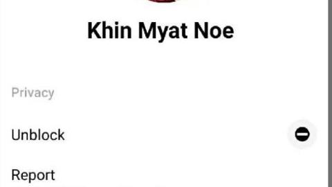 ခင်မြတ်နိုးတဲ့ မြန်မာရှယ်အကိတ်ကြီး — XBurma Myanmar video preview