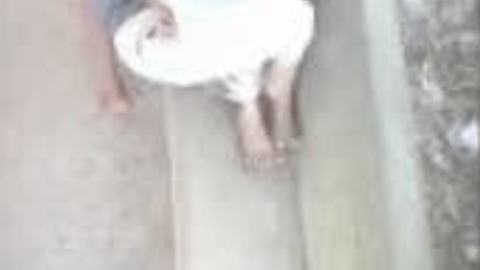 ခိုးစားနေကြအတွဲကားသစ် video preview