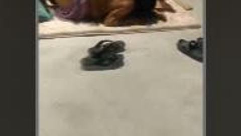 အလုပ်သမားအခန်းမှာ ဖာခေါ်ချတာလေး video preview