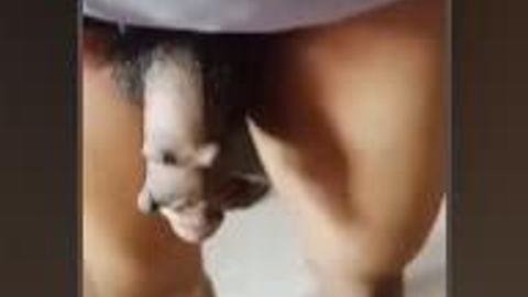 ဂေါ်လီတွေနဲ့ ကြောက်စရာကြီးကွာ — LeakMM Myanmar video preview