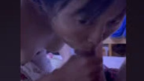 ဒုတ်ကြိုက်တဲ့ မမ ရှယ်လီးစုပ်ချက် — XBurma Myanmar video preview