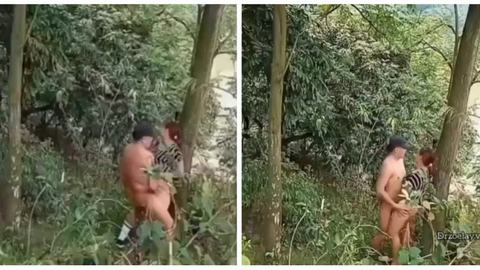 အန်တီကြီးတို့အတွဲတောလေးထဲမှာ သစ်ပင်မှီပြီးတော့ကို မတ်တက်လေးဆော်တာဦးဦးက video preview