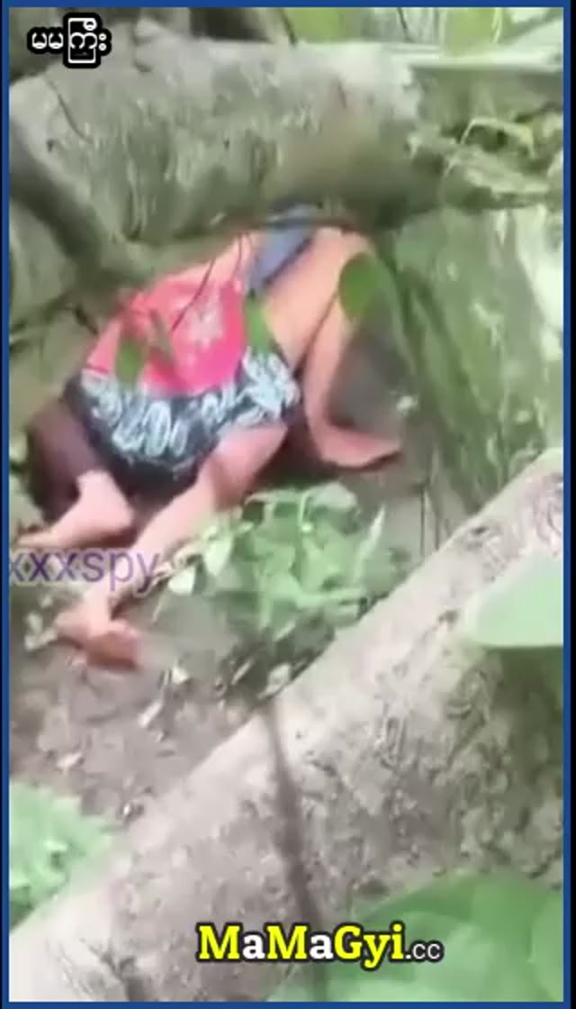 မြန်မာအစုံသုပ်လေး — XBurma Myanmar video preview