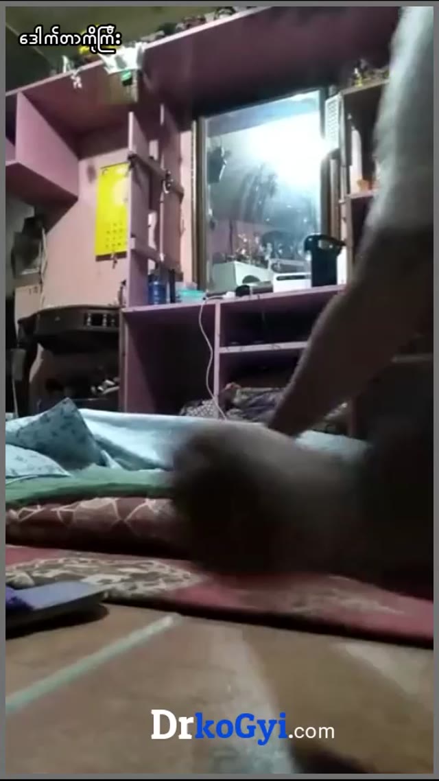 အိမ်တွင်းဖြစ် ဟုမ်းမိတ် အလန်းလေး — XBurma Myanmar video preview