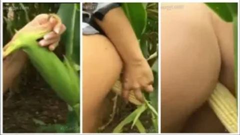 ပြောင်းဖူးစားကြပါအုံး video preview