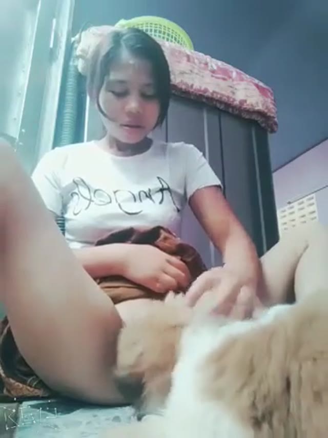 ခွေးကိုပေးကျွေးတဲ့ပူစီလေး — XBurma Myanmar video preview