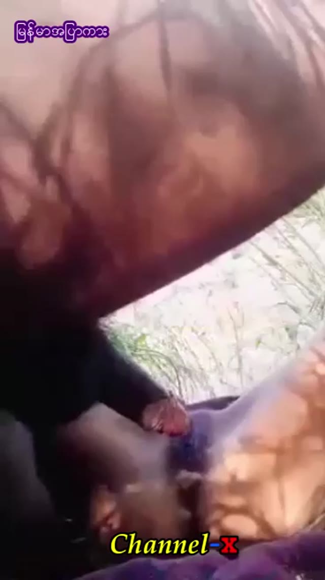 တောထဲမှာဖုတ်တဲ့မြန်မာ — XBurma Myanmar video preview