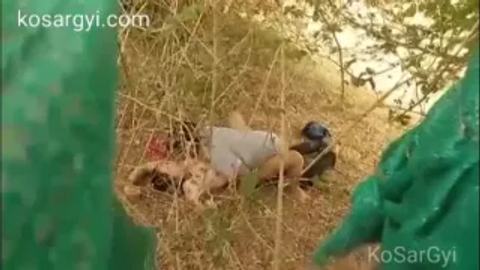 တရားသံနဲ့ တောထဲခိုးစား video preview