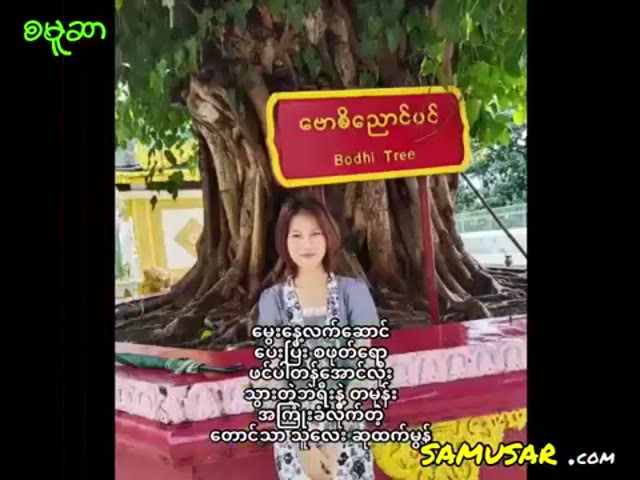 ဆုထက်မွန်တဲ့ဟ မွေးနေ့လက်ဆောင်ပေးပြီး ဖင်ရောစဖုတ်ရောအလိုးခံရတဲ့ တောင်သာသူ — XBurma Myanmar video preview