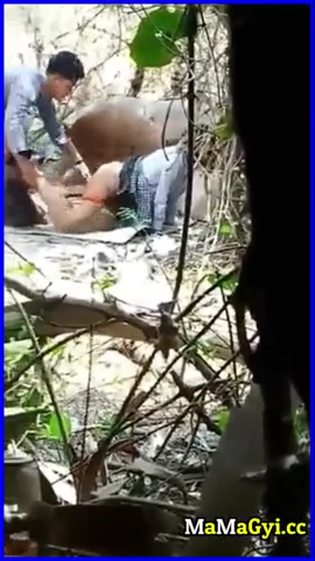 ဆော်လေးကိုနောက်ကနေအပီပြင်ကင်တဲ့ဘဲချောင်းရိုက် — XBurma Myanmar video preview
