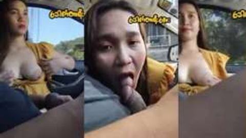 ကားပေါ်မှာပုလွေမှုတ်ပေးတဲ့စော်အကိက်ကြီး video preview