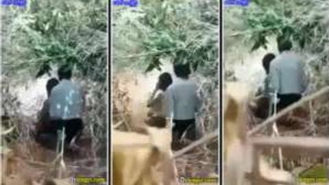 တောတိုးခိုးစားချောင်းရိုက် video preview