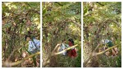 ကျောင်းကလစ်လာပြီး ခြုံ ခေါ်တီးတဲ့ ချာတိတ်တို့အတွဲ video preview