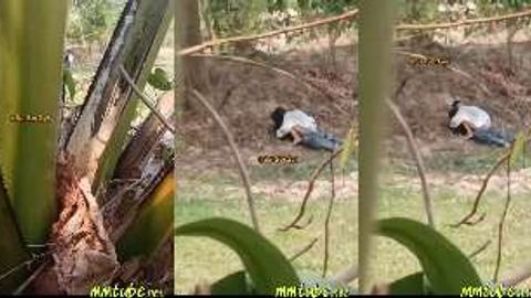ရွာမှာဆိုဟော်တယ်မလိုဘူး လမ်းဘေးနဲ့တင်ပီးတာ video preview