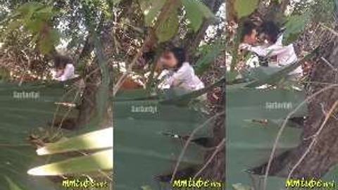 တောထဲခိုးတီးနေတဲ့အတွဲ video preview