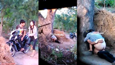 ကောက်ရိုးပုံဘေးမှာ လိုးနေတဲ့အတွဲ ချောင်းရိုက် video preview