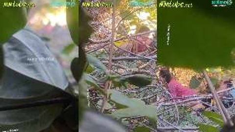 တောတိုးနေတဲ့အတွဲလေး video preview